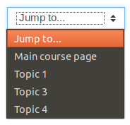 The 'Jump to' menu shown on the single section page that is used for navigation The ‘Jump to’ menu shown on the single section page that is used for navigation